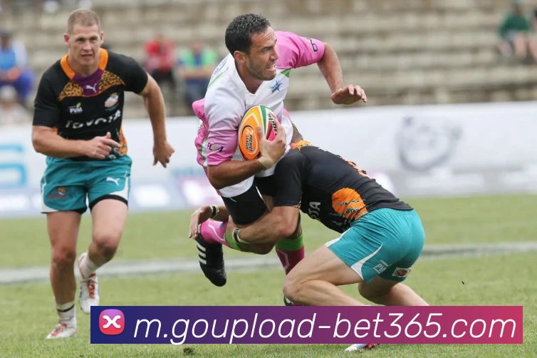 数据防护可视化